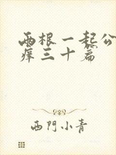 两根一起公憩止痒三十篇