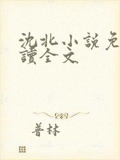 沈北小说免费阅读全文