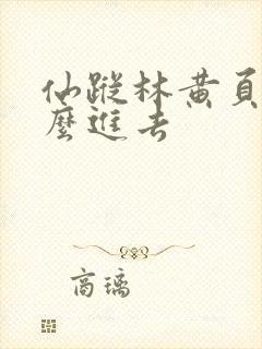 仙踪林黄页网怎么进去