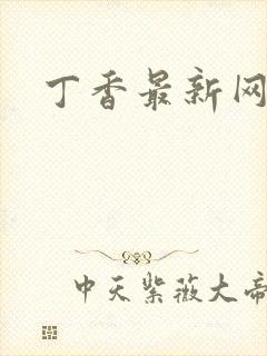 丁香最新网址
