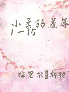 小柔的羞辱日记1一15