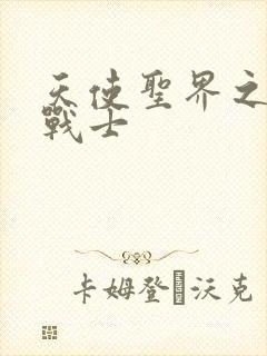 天使圣界之神之战士