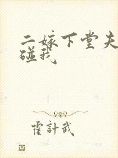 二嫁下堂夫君别碰我