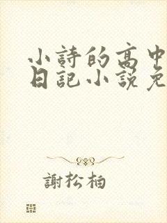 小诗的高中成长日记小说免费阅读