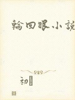 轮回眼小说