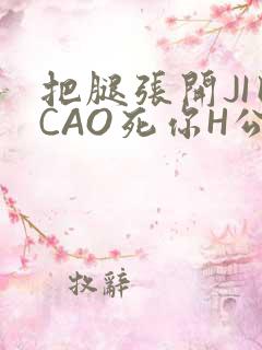 把腿张开JI巴CAO死你H公园