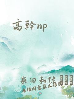 高干np