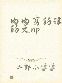 肉肉写的很细致的文np