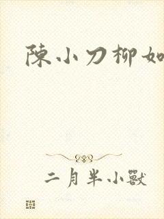 陈小刀柳如意