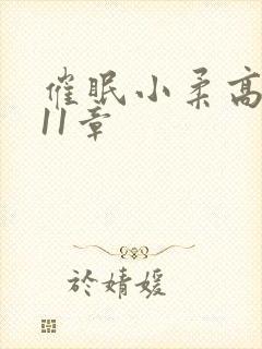 催眠小柔高达第11章