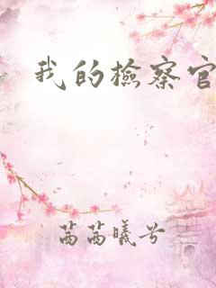 我的检察官先生