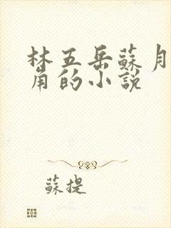 林五岳苏月灵主角的小说
