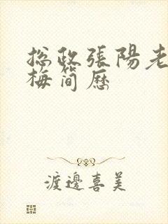 总政张阳老婆吕梅简历