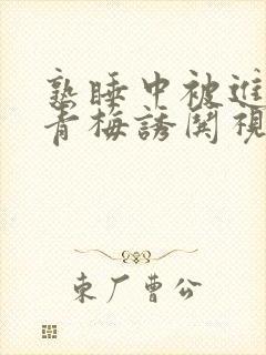 熟睡中被进了H青梅诱哄视频