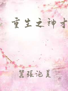 重生之神才风流