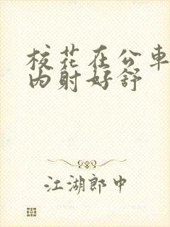 校花在公车上被内射好舒