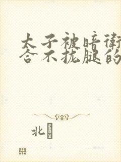 太子被暗卫c到合不拢腿的后果