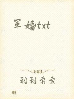 军婚txt