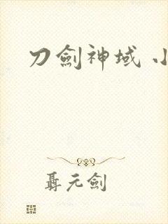 刀剑神域 小说