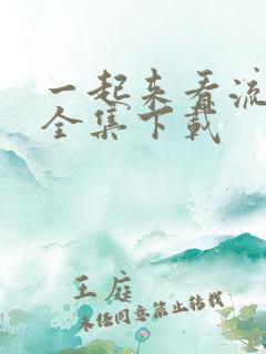 一起来看流星雨全集下载