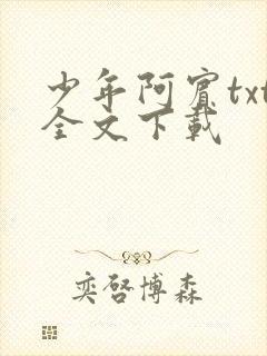 少年阿宾txt全文下载