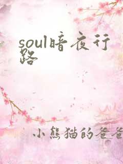 soul暗夜行路
