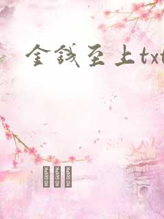 金钱至上txt