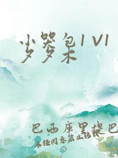 小哭包1 V1夕夕木