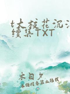 t大校花沉浮录续集TXT