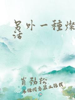 另外一种灿烂生活