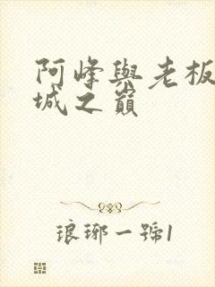 阿峰与老板娘倾城之巅