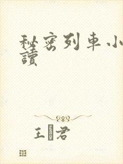 秘密列车小说阅读