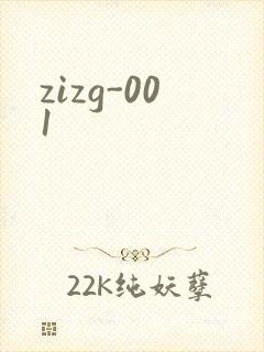 zizg-001