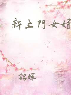 新上门女婿下载