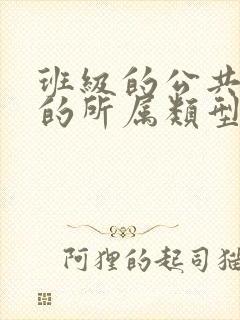 班级的公共小0的所属类型