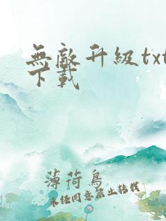 无敌升级txt下载