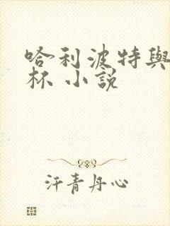 哈利波特与火焰杯 小说