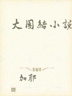 大团结小说全文