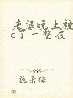 老婆晚上被躁狂c了一整夜