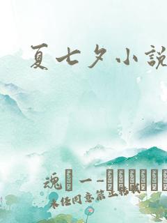 夏七夕小说