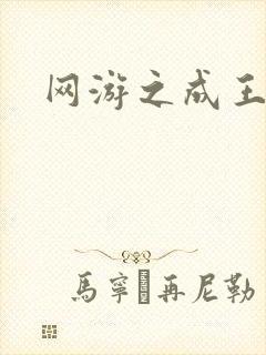 网游之成王败寇
