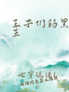 王子们的黑道公主