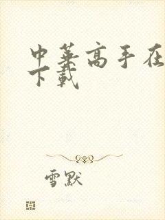 中华高手在异世下载