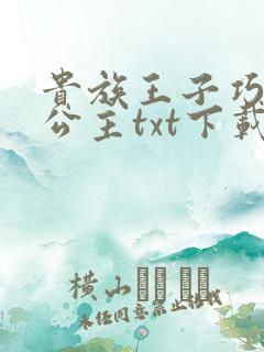 贵族王子巧遇穷公主txt下载