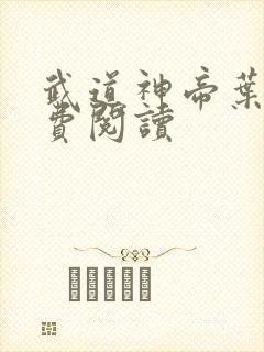 武道神帝叶辰免费阅读