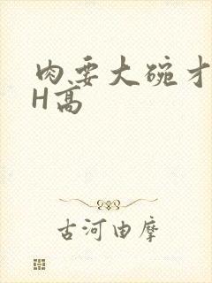 肉要大碗才好吃H高