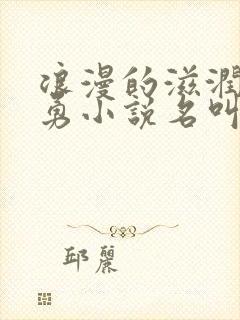 浪漫的滋润刘大勇小说名叫什么?