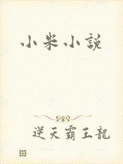 小米小说