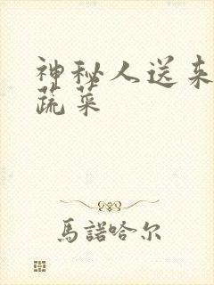 神秘人送来千斤蔬菜