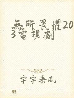 无所畏惧2023电视剧